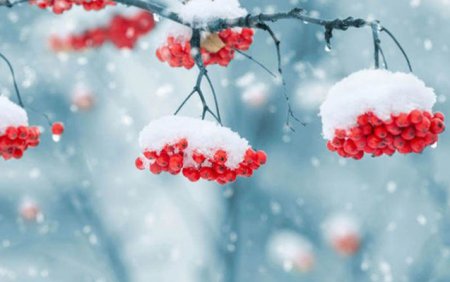 Yağış, qar, şaxta... - Sabahın havası